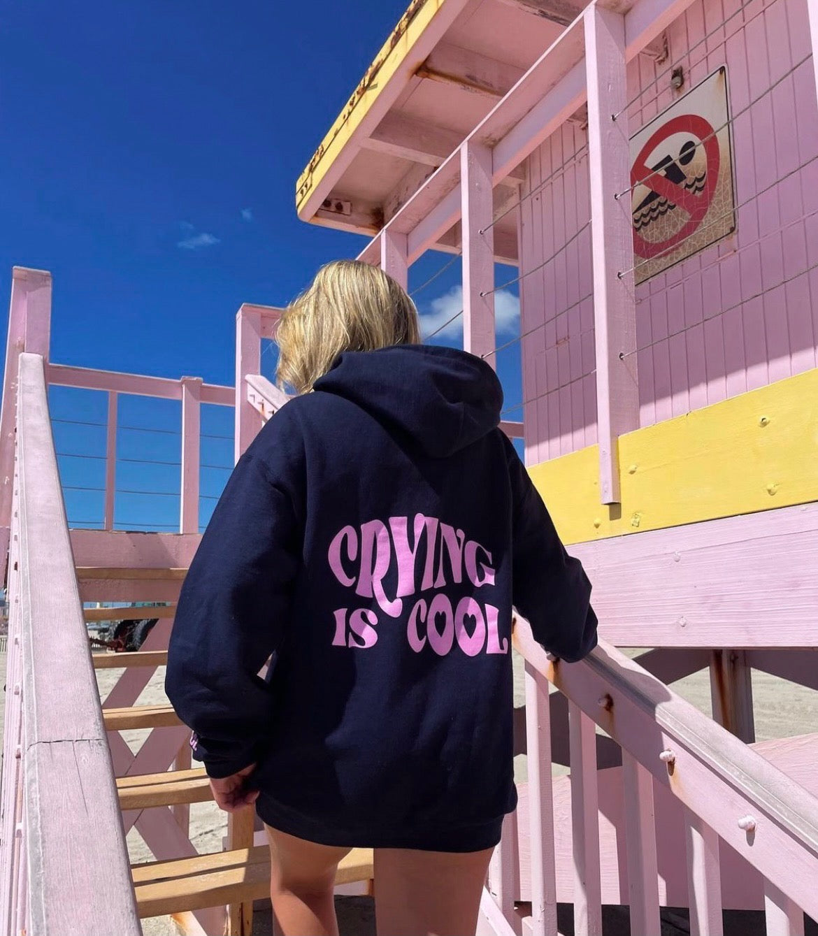 Navy blue sales pink hoodie